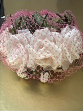 Frederick & Nelson Pink Veiled Headband with White Fabric Roses